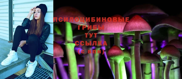 ГАЛЛЮЦИНОГЕННЫЕ ГРИБЫ Лихославль