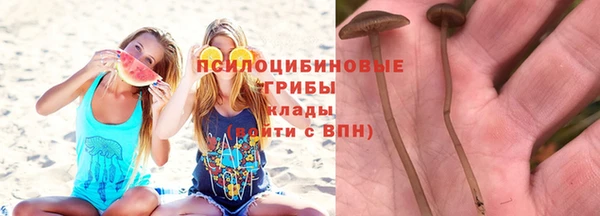 apvp Магас