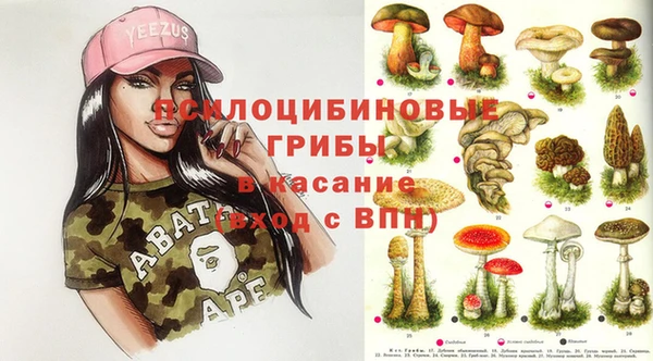 apvp Магас
