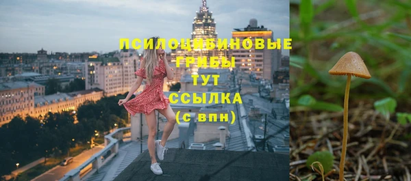 ГАЛЛЮЦИНОГЕННЫЕ ГРИБЫ Лихославль