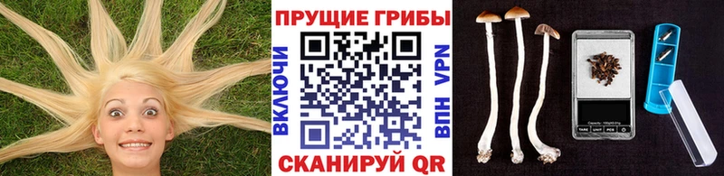 Псилоцибиновые грибы MAGIC MUSHROOMS Чехов