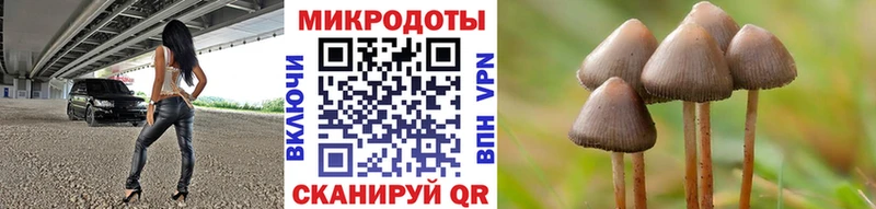 гидра онион  Чехов  Галлюциногенные грибы мицелий  купить наркотик 